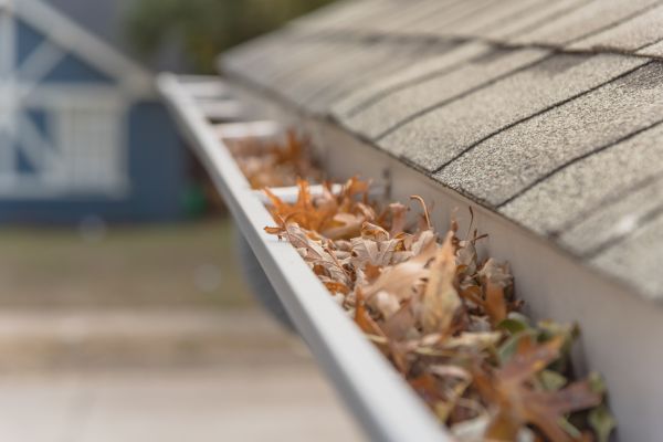 Leaf Barrier Installation in Glen Burnie